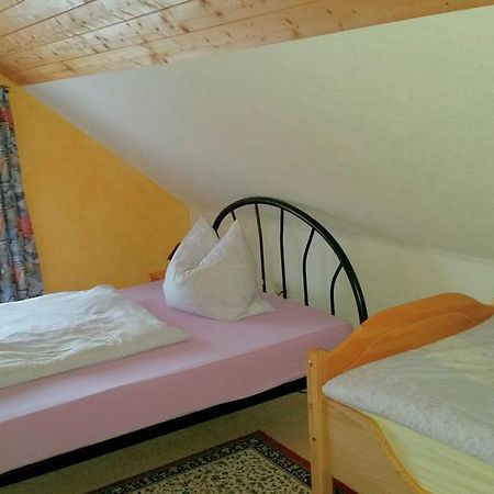 Ferienhaus Riedl Klingenthal Kültér fotó
