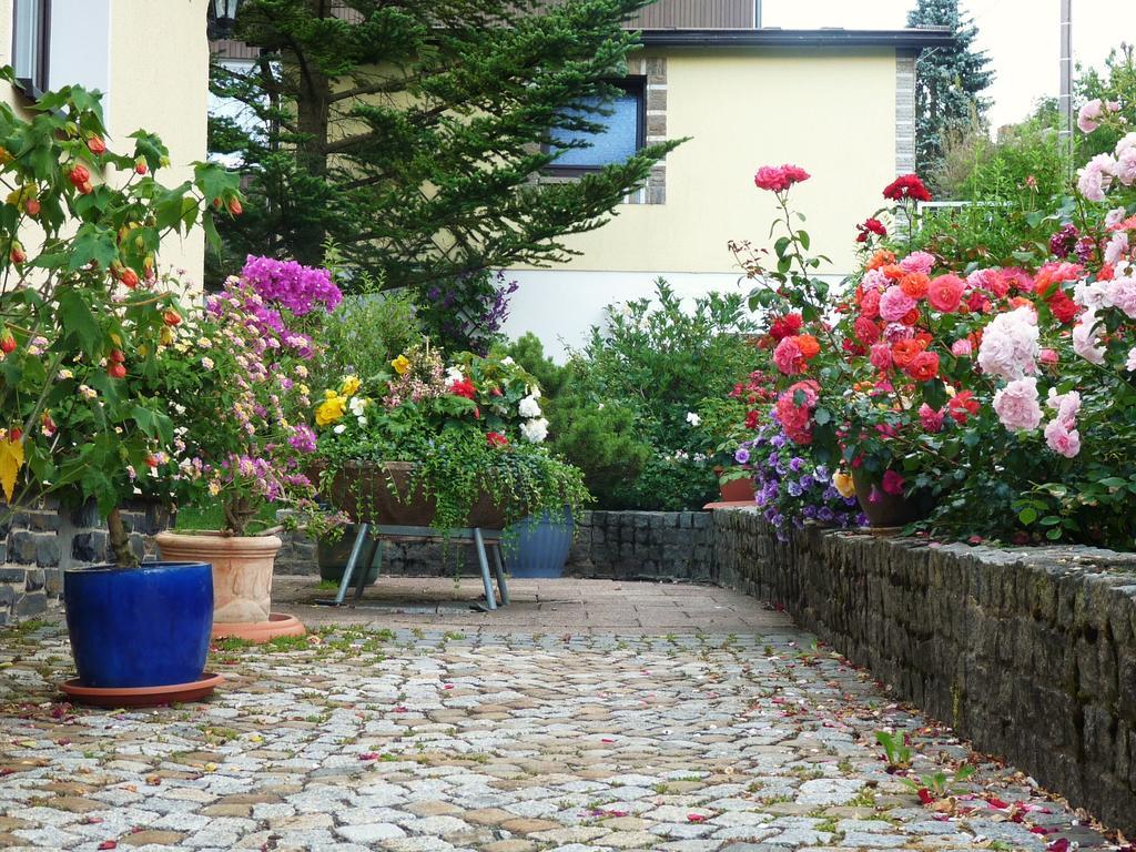 Ferienhaus Riedl Klingenthal Kültér fotó