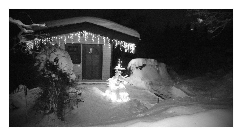 Ferienhaus Riedl Klingenthal Kültér fotó