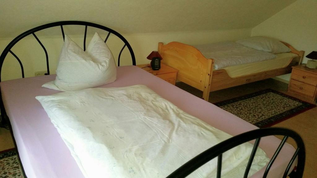 Ferienhaus Riedl Klingenthal Kültér fotó